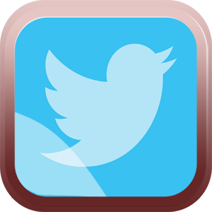 Twitter Mod Apk - Videomax Download